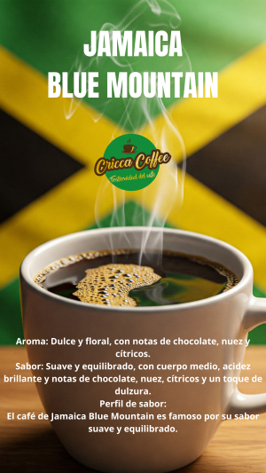 Café Jamaica B. Mountain